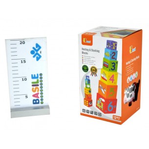 Blocchi Impilabili e Incastrabili 12 Pz di Bg Import