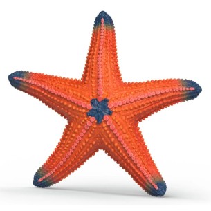 Stella Marina Cambia Colore di Schleich Wild Life