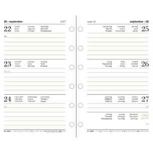 7,8x12,3 Ricambio Organizer Settimanale di Castelli Spa