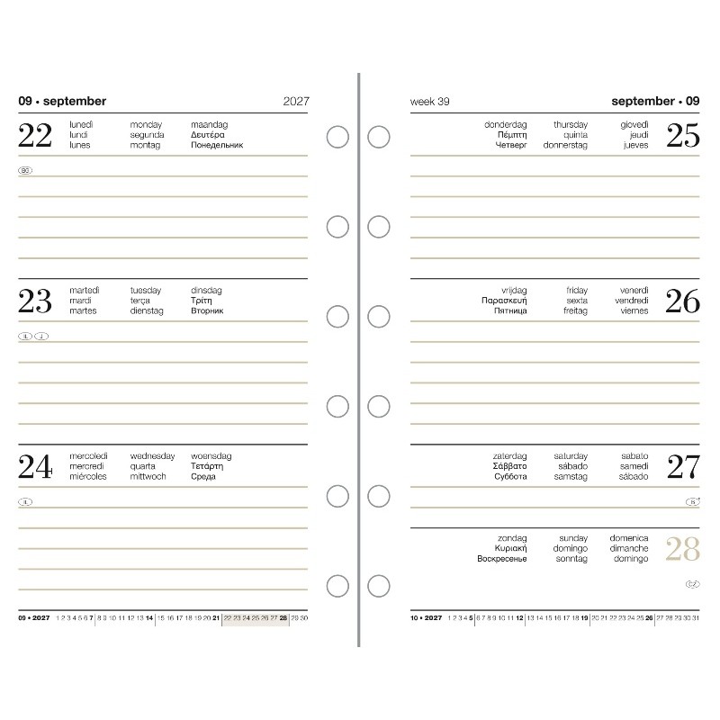 7,8x12,3 Ricambio Organizer Settimanale di Castelli Spa