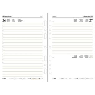 14,5x21 Ricambio Organizer Giornaliero di Castelli Spa
